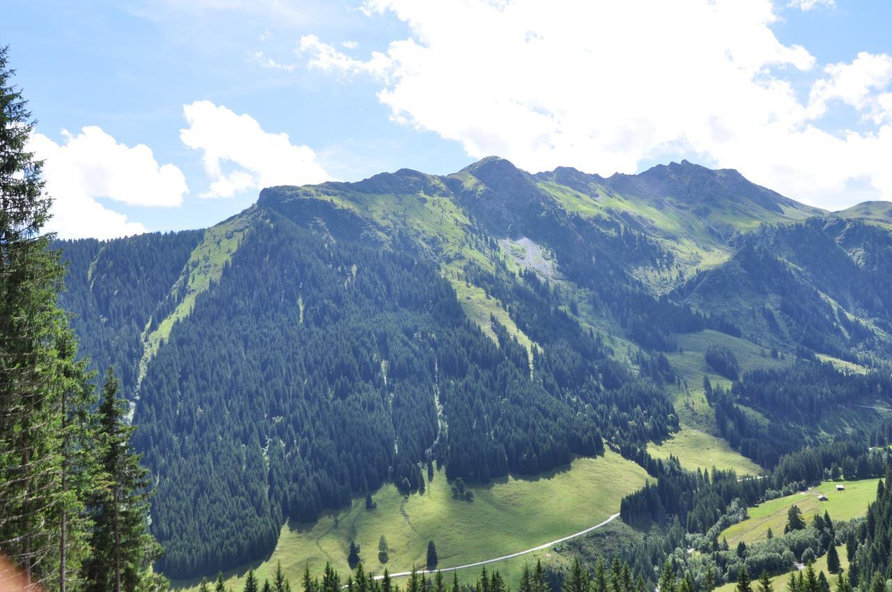 Almhuette Lengau Villa Saalbach-Hinterglemm Luaran gambar